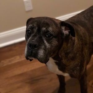 Meet your Posher, Missy